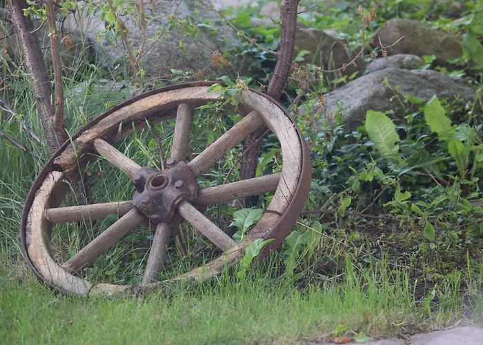 Spreezeit Connect 3* 圣弗顿堡