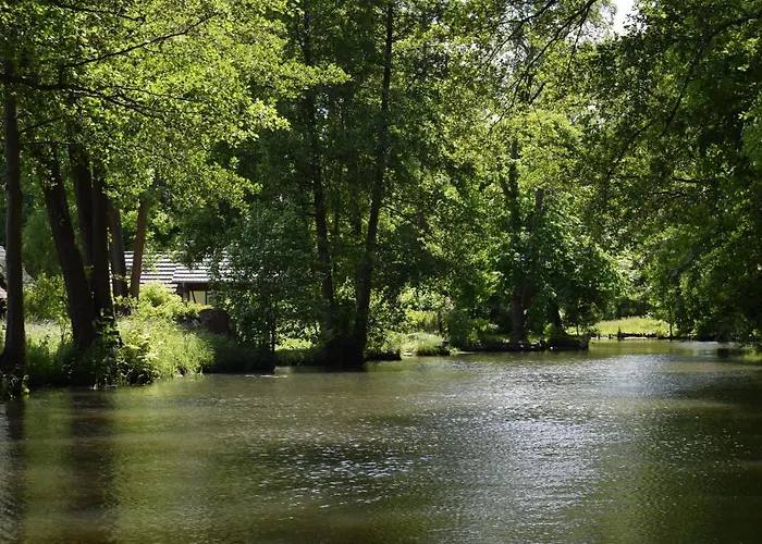 酒店 Spreezeit Connect 圣弗顿堡